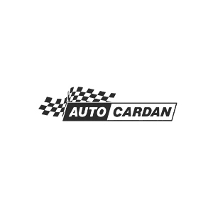 Auto cardan